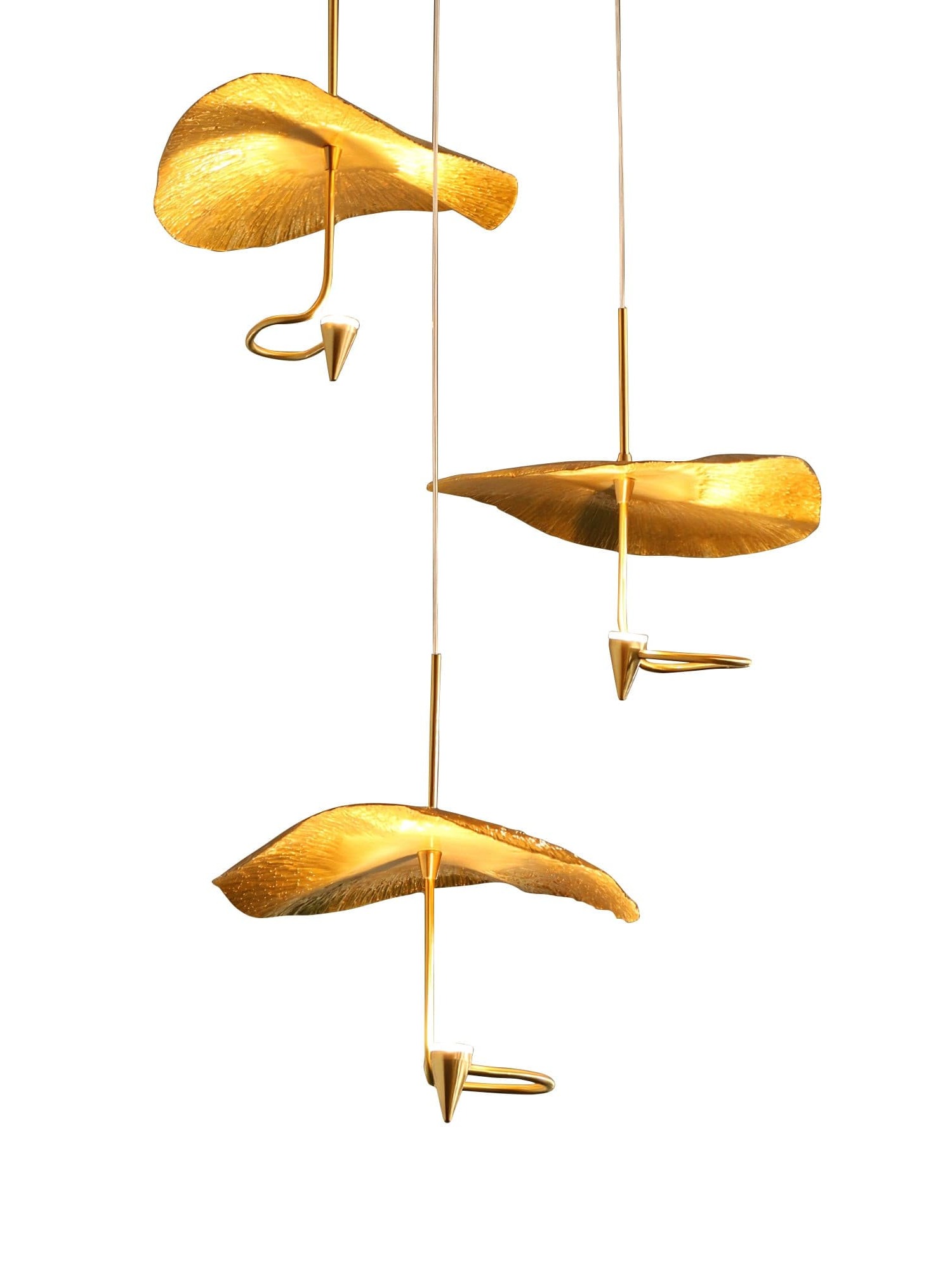 蓮の葉のシャンデリア